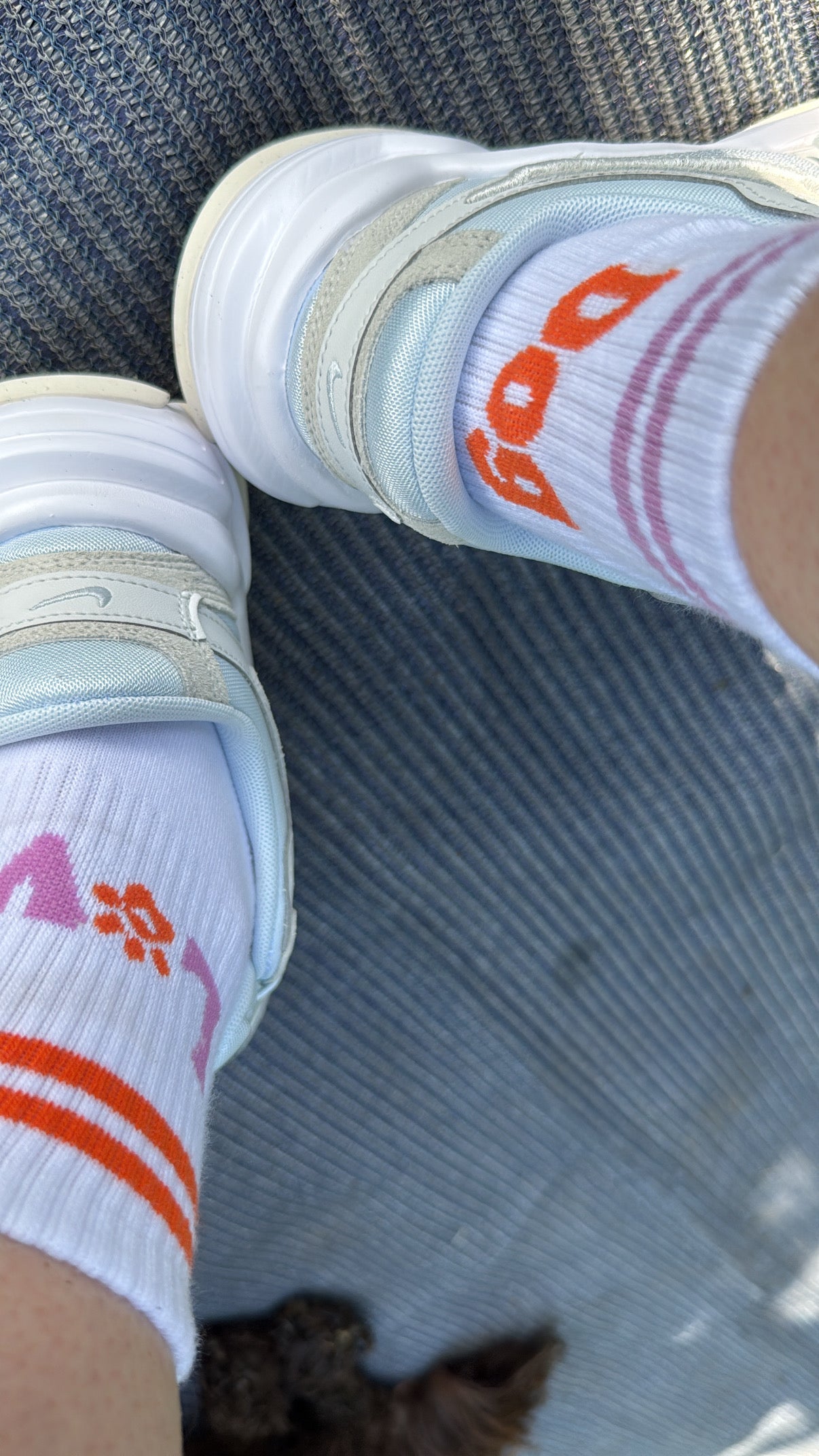 „Dog Love“ Socken – Für alle Hundeliebhaber! - Fietes-Pawluxe