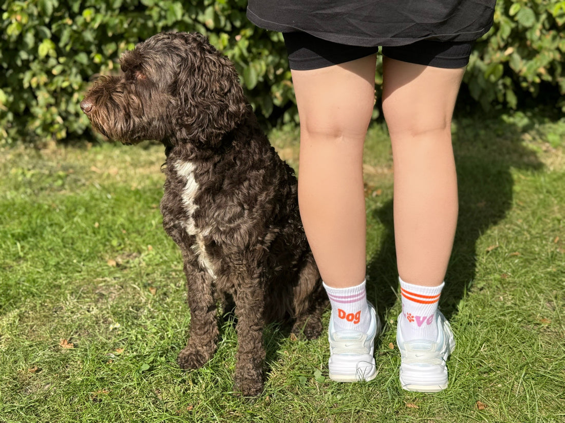„Dog Love“ Socken – Für alle Hundeliebhaber!